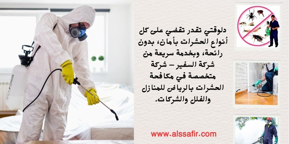شركة مكافحة حشرات بالرياض بأمان وبدون رائحة