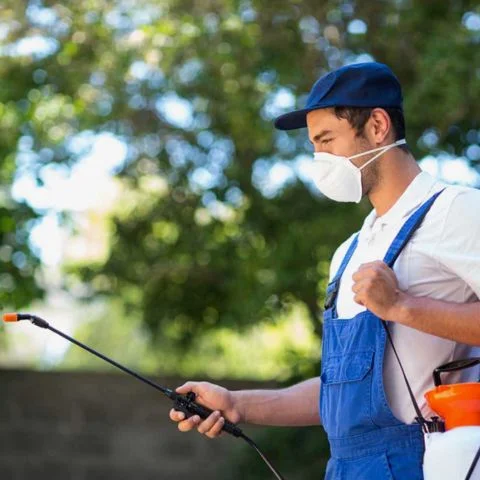 مكافحة الحشرات