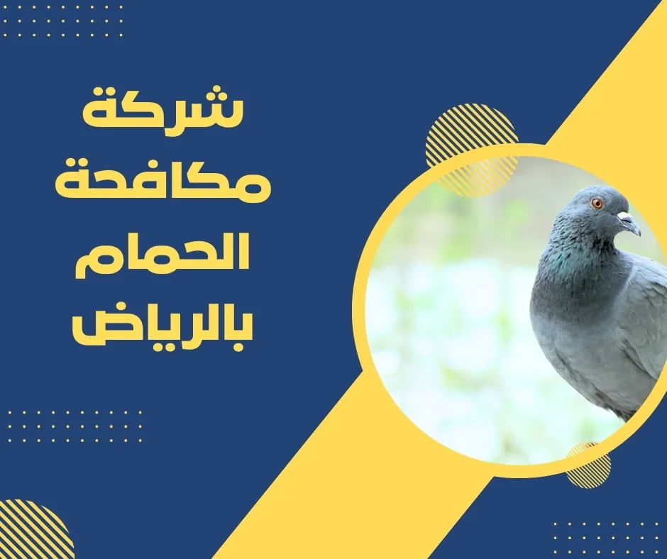شركة مكافحة الحمام بالرياض