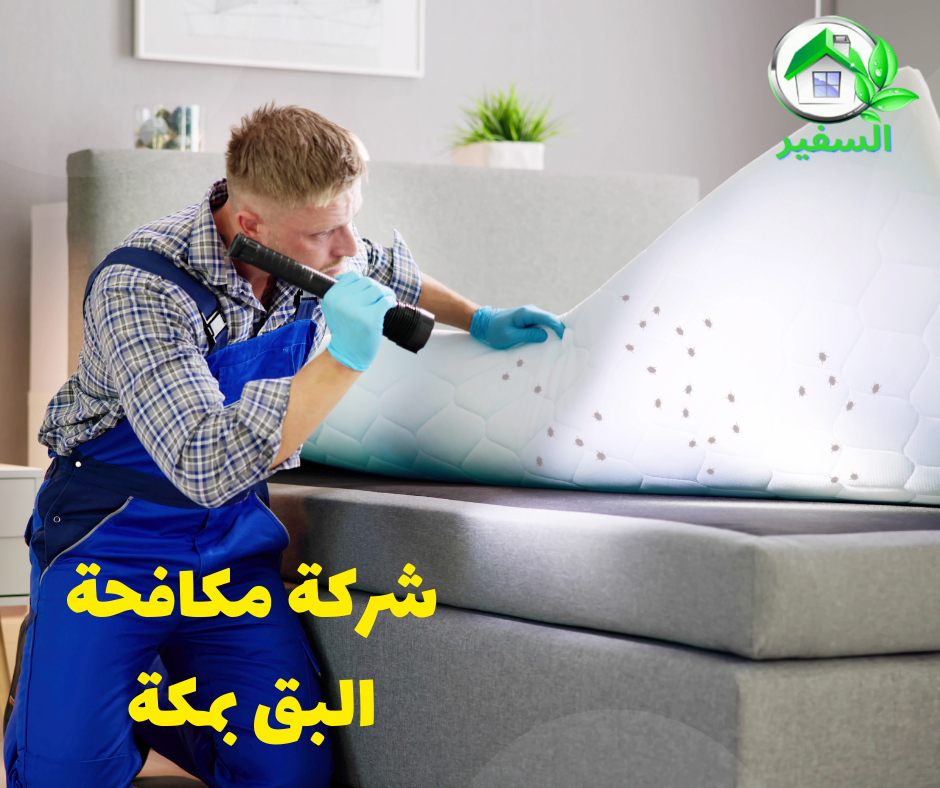 مكافحة البق بمكة
