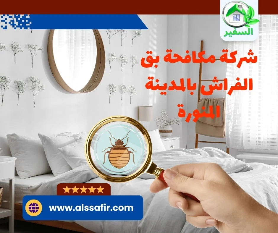مكافحة حشرات الفراش بالمدينة المنورة